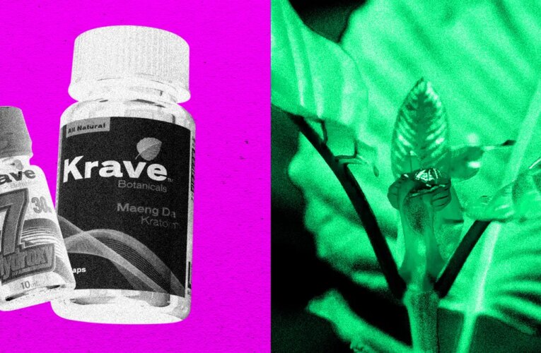 The DEA Plans to Ban Opioid-Like Kratom Compound 7-OH