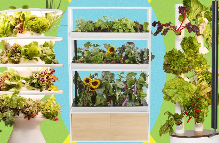 Best Indoor Garden Systems: I’ve Been Testing All Year (2026)